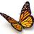 savemilkweed