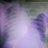 Vickh_O1310