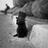 Shadow_aok