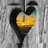 sharmasunny007