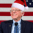 Bernieshat