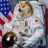 AstroDogeCoin