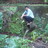 niceson24