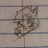 folface1