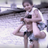 Marco_Pi91