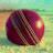 Cricket_Things