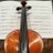Violingi