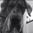 hazeldine_paul