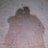 Mark_Oaks19