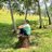 javier_davvaz