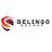 belingorecoup