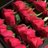 manish_gangal