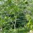 amit_abh_adv