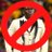 jacqui_p_lagos