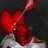 MOHAMMAD_HTH
