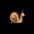 snailofficial_