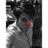 Antonio_Lhrt