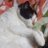 terry_caleno
