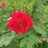 mohit1_9