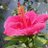 ShahabK18961902