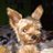Anyelo_BB