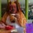 Cheo29116967