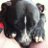 mick_fee