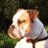 sturg_t