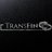 trans_fin