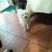 VeronicaCoell17
