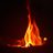 chaitali_s95