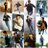 vasu1439688