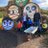 dave_mols14