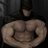 The_ProteinMan