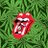 _TheWarOnDrugs
