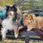 super_dogz