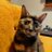 Sergio_garmar