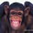MonkeysInFlight