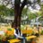 nitinpatil467