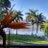 Mireille_To