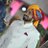 sandeepsinghna3