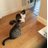 sherpa_slawton5