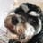 mildred_17
