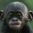 MurphyTMonkey