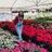 rohi_choudhary