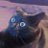 0Frieda_M