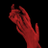 EcceColladoHomo