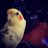 fowlmoodtjb