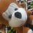 Sameer_Singh93