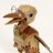 TheHeirEntail